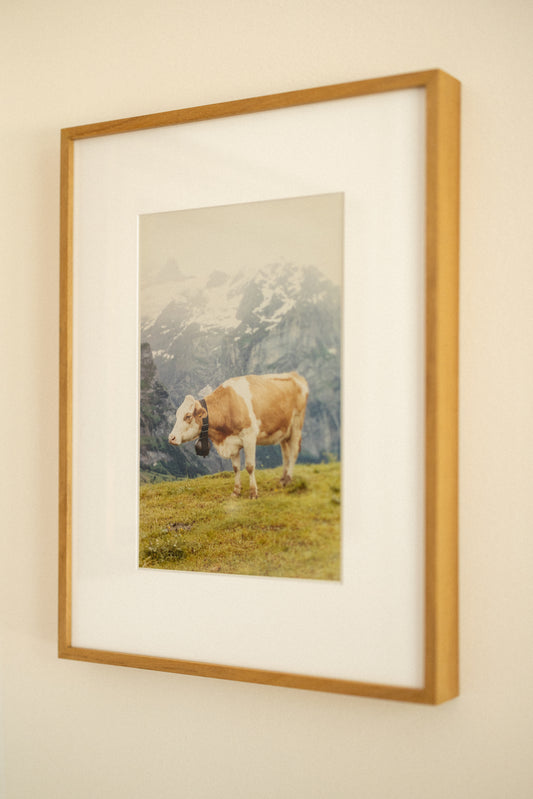 Vaquinha